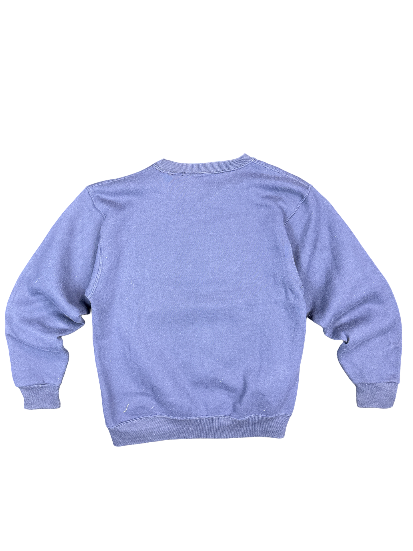 1990s Auburn University Eagle Graphic Sweatshirt (L)